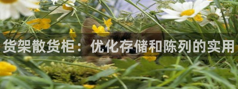 杏运平台招商