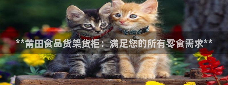 杏运代理