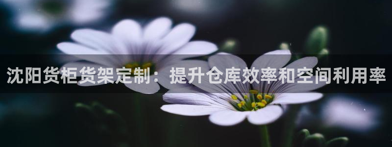 杏运平台注册登录