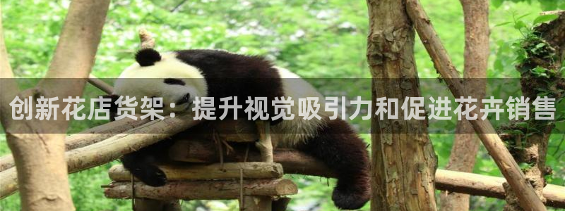 杏运体育平台正规吗安全吗可信吗