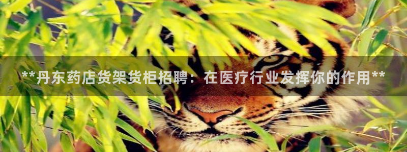 杏运体育平台正规吗安全吗