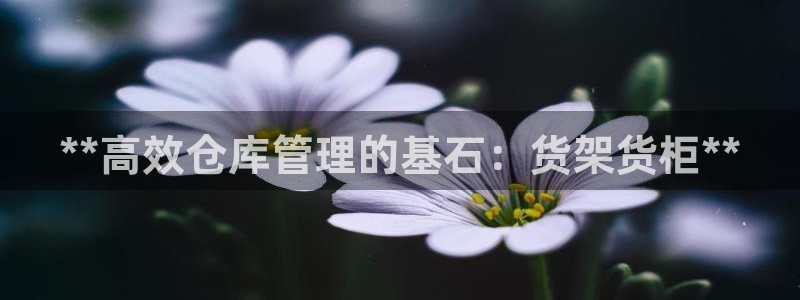 杏运体育平台正规吗安全吗可信吗