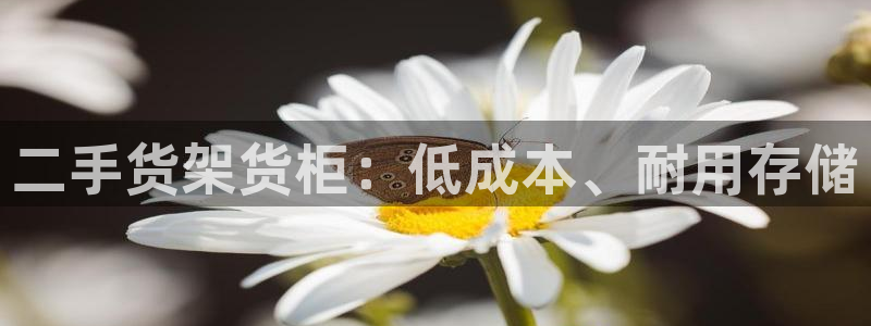 杏运平台招商