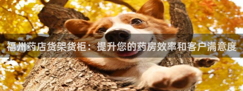 杏运注册登录