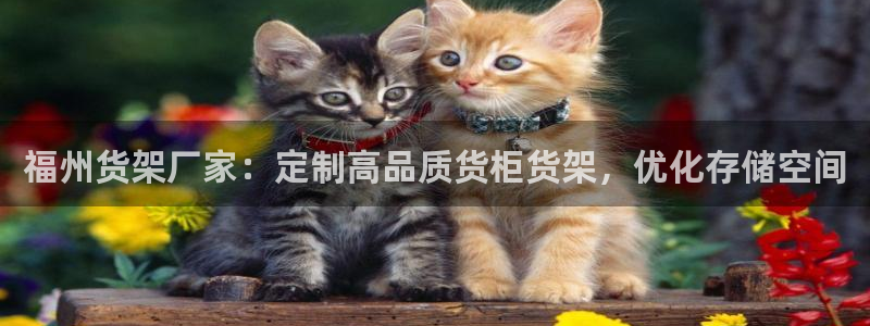 杏运注册平台