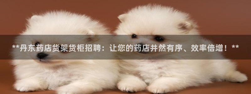 杏运体育官方网址