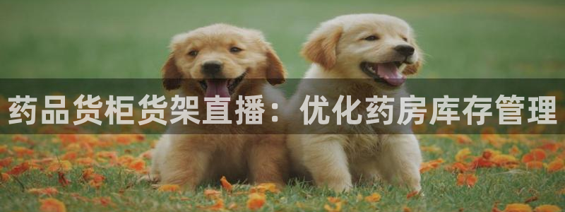 杏运平台官方网站