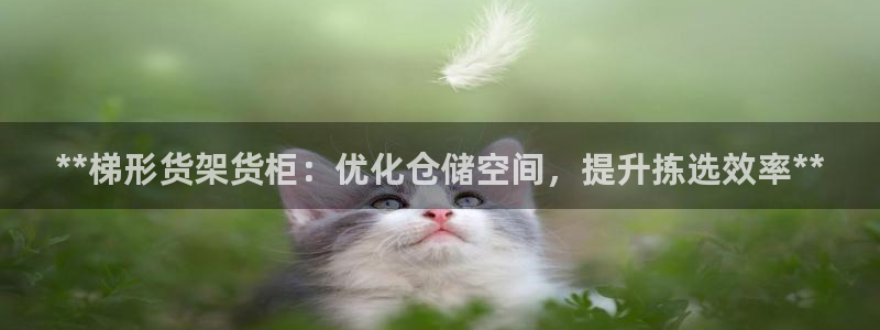 杏运平台官网