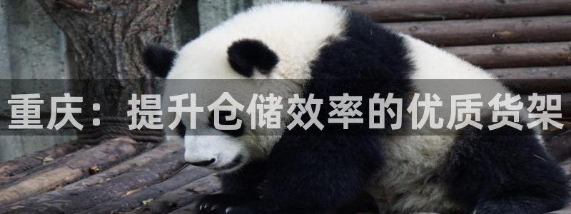 杏运汽车招商