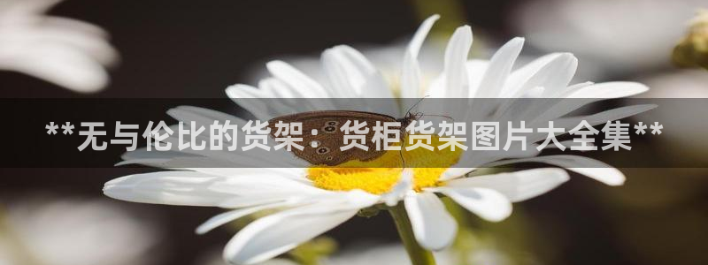 杏运相伴