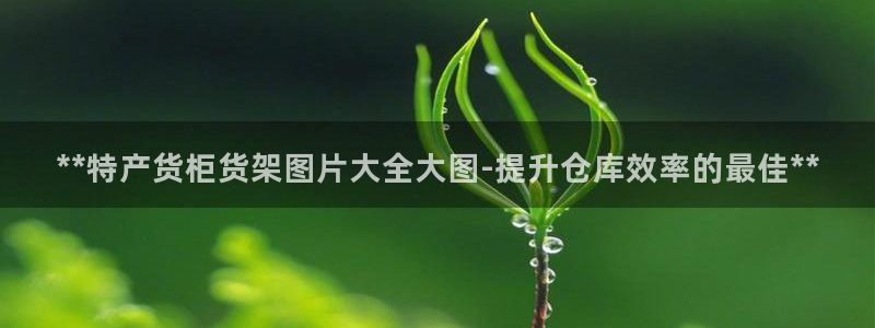 杏运注册登录