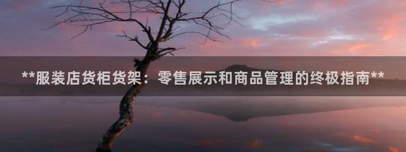 杏运汽车招商