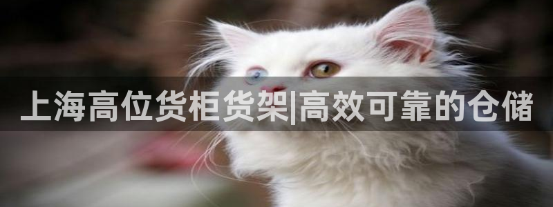 杏运新能源