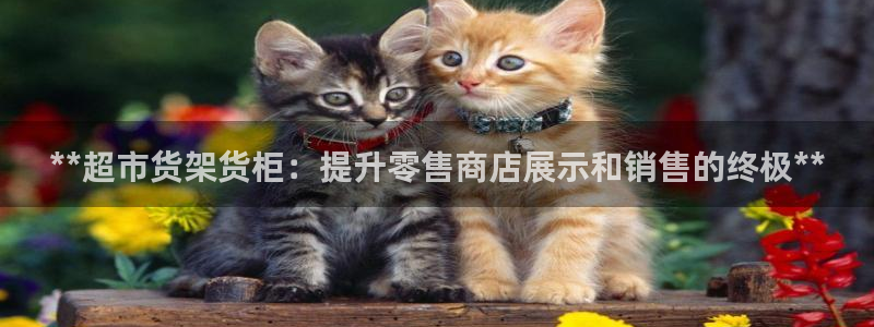 杏运平台招商