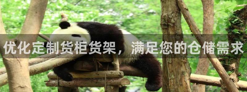 杏运体育平台正规吗安全吗