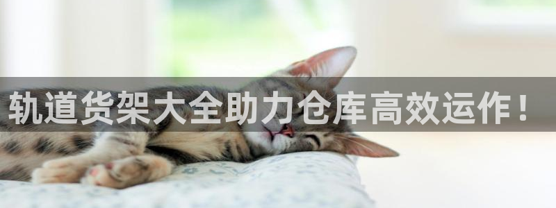 杏运体育官方网址登录