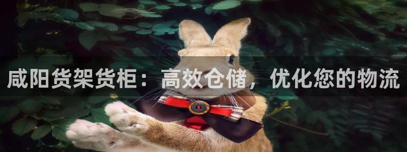 杏运体育官网