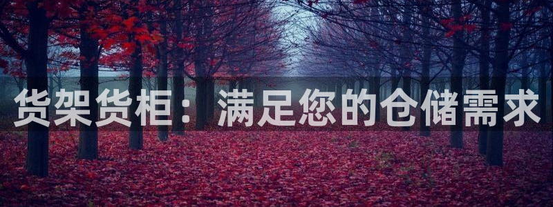 杏运体育app