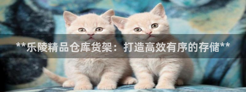 杏运平台招商