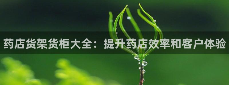 杏运代理