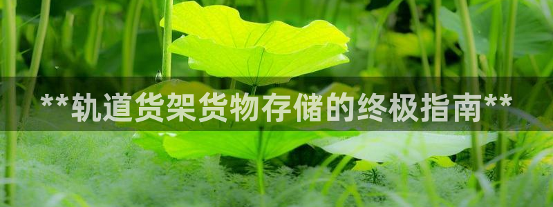杏运汽车招商