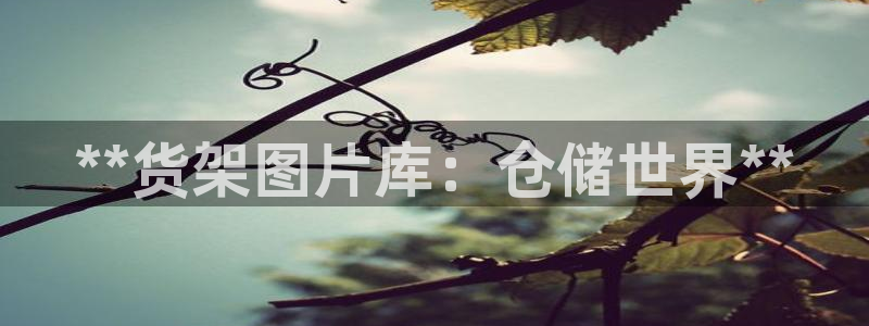 杏运注册账号