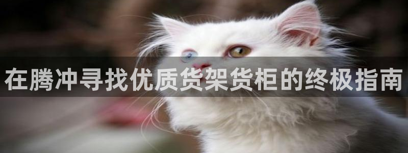 杏运体育怎么样