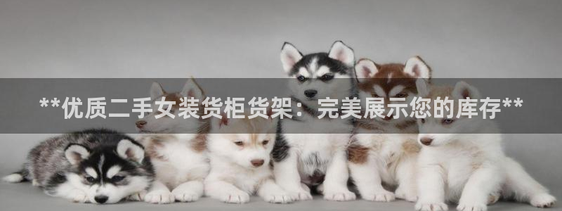杏运平台招商