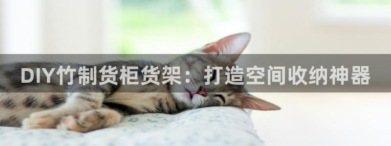 杏运平台官网