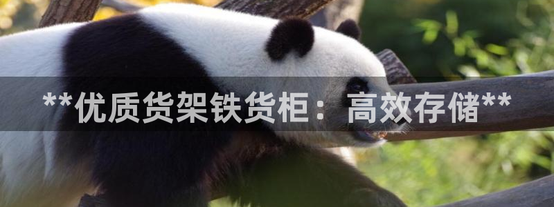 杏运体育官方网址登录