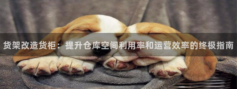 杏运注册登录地址