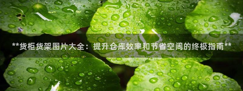 杏运注册平台