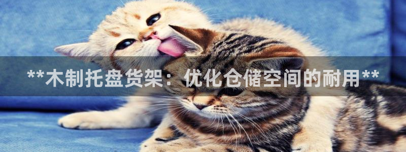 杏运注册登录地址