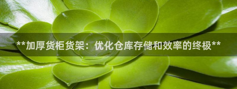 杏运平台官网