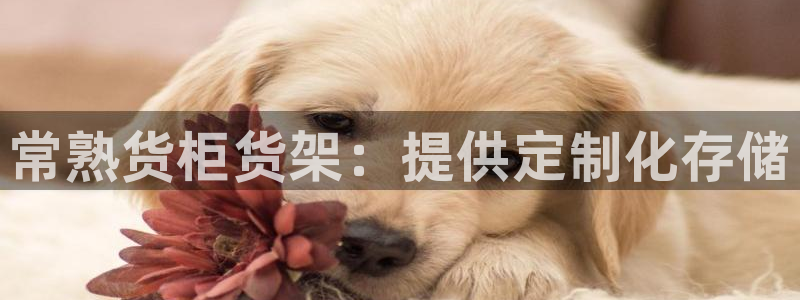 杏运代理