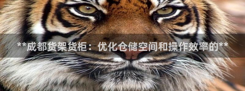 杏运新能源