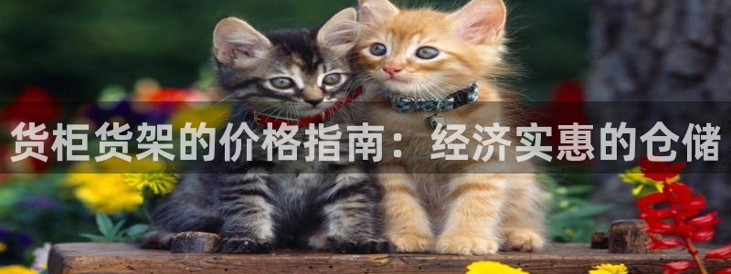 杏运体育注册