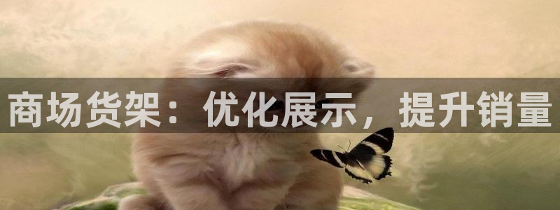 杏运代理
