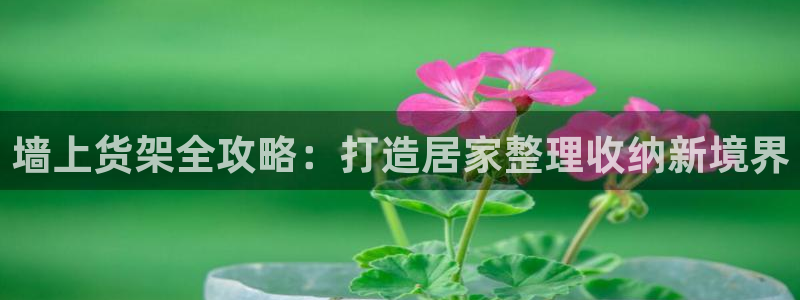 杏运代理