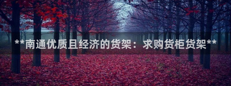 杏运汽车招商