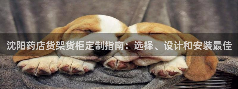 杏运娱乐
