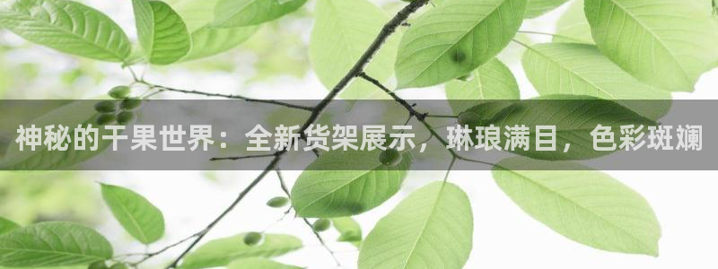 杏运平台代理
