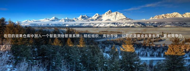 杏运体育官方网址