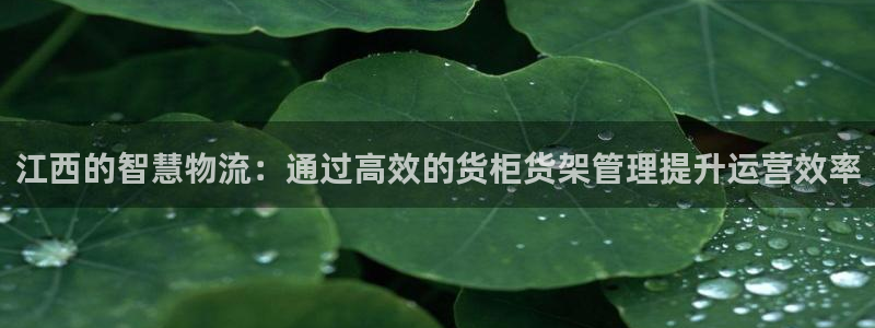 杏运平台官方网站
