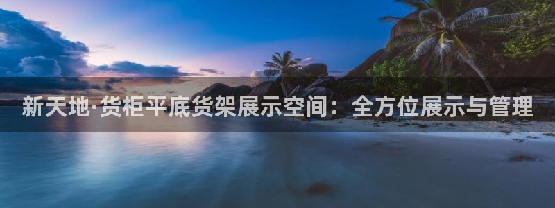 杏运汽车招商