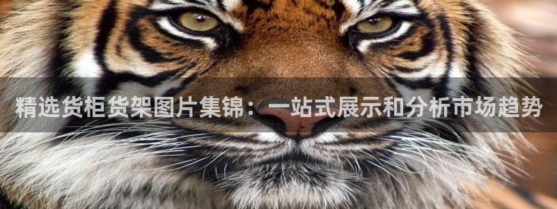 杏运注册平台