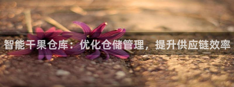 杏运体育平台