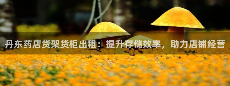 杏运娱乐怎么样