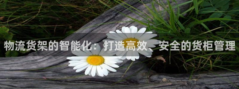 杏运体育app下载安装手机版：物流货架的