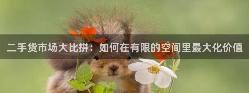 杏运平台官网
